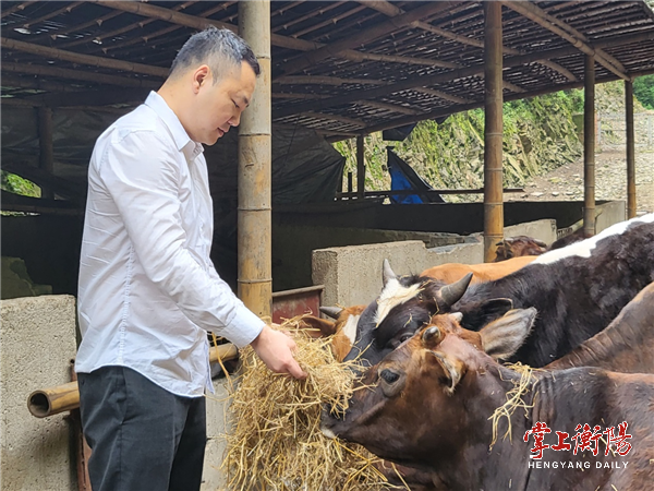我的衡阳我的奋斗丨陈佳辉海归变身新农人大山深处忙振兴