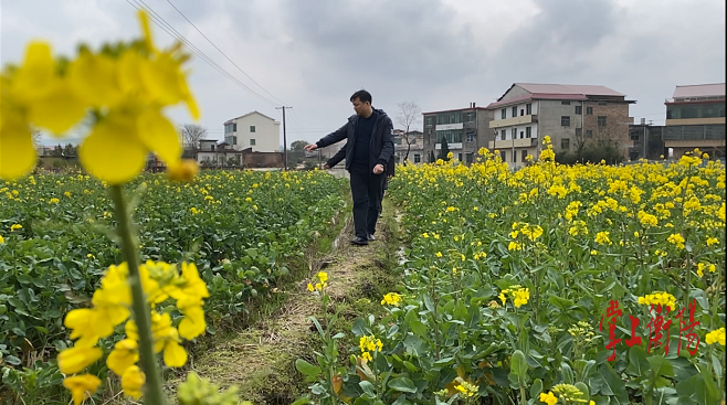 耕地保护衡阳在行动丨堰桥村把保护耕地写进村规民约