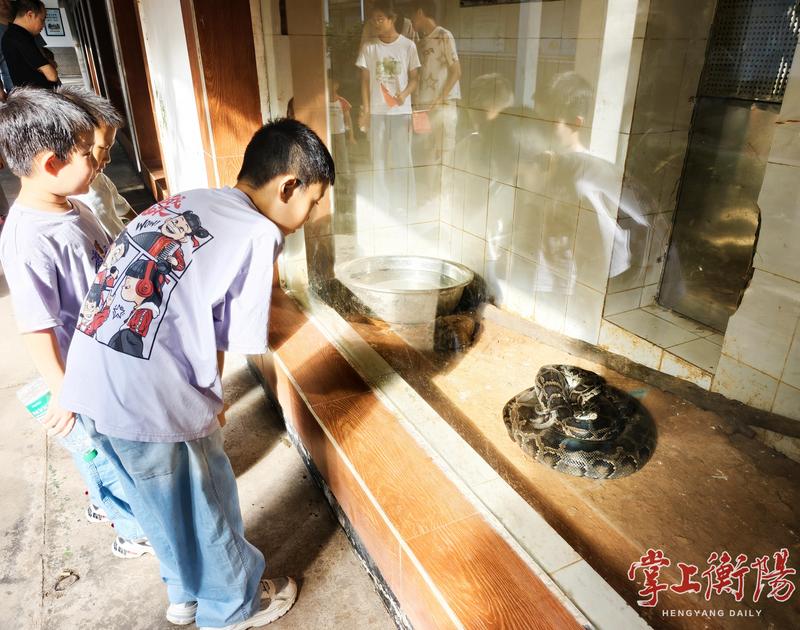 乐翻天！假期前两天，3000余游客涌入衡阳市动物园